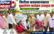 सिरोंचा बसस्थानकात वृक्षारोपण कार्यक्रम उत्साहात संपन्नपर्यावरण संवर्धनाचा संदेश; नगराध्यक्ष पद्मा भोगे यांच्यासह मान्यवरांची उपस्थिती