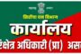 सोमनूर येथील ४०० वर्षे जुने चिंचेचे झाड कोसळले; सुदैवाने जीवितहानी टळली