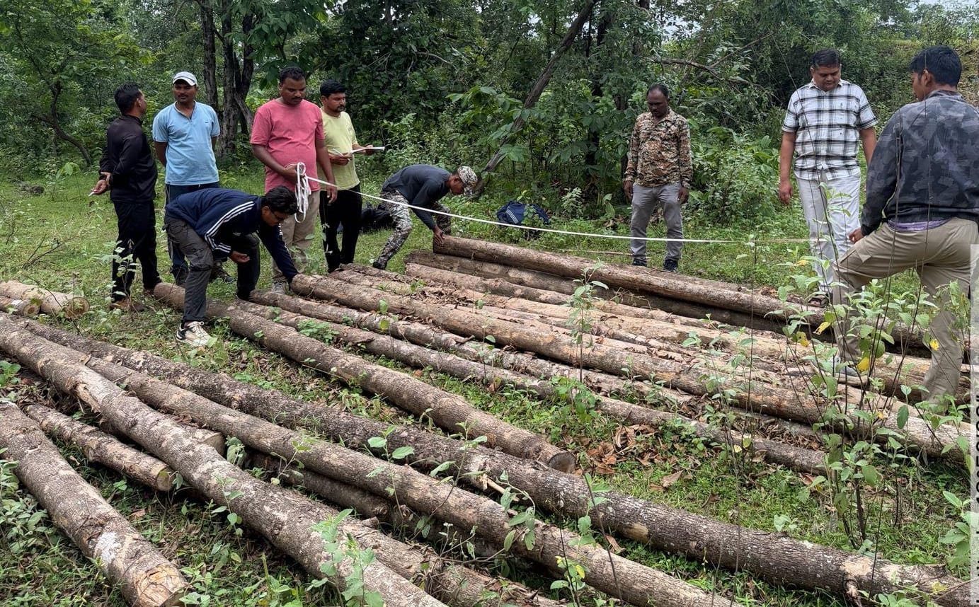 सागवान तस्करांना दणका; आसराली वन परिक्षेत्राची आठवडाभरात दुसरी मोठी कारवाई ...!