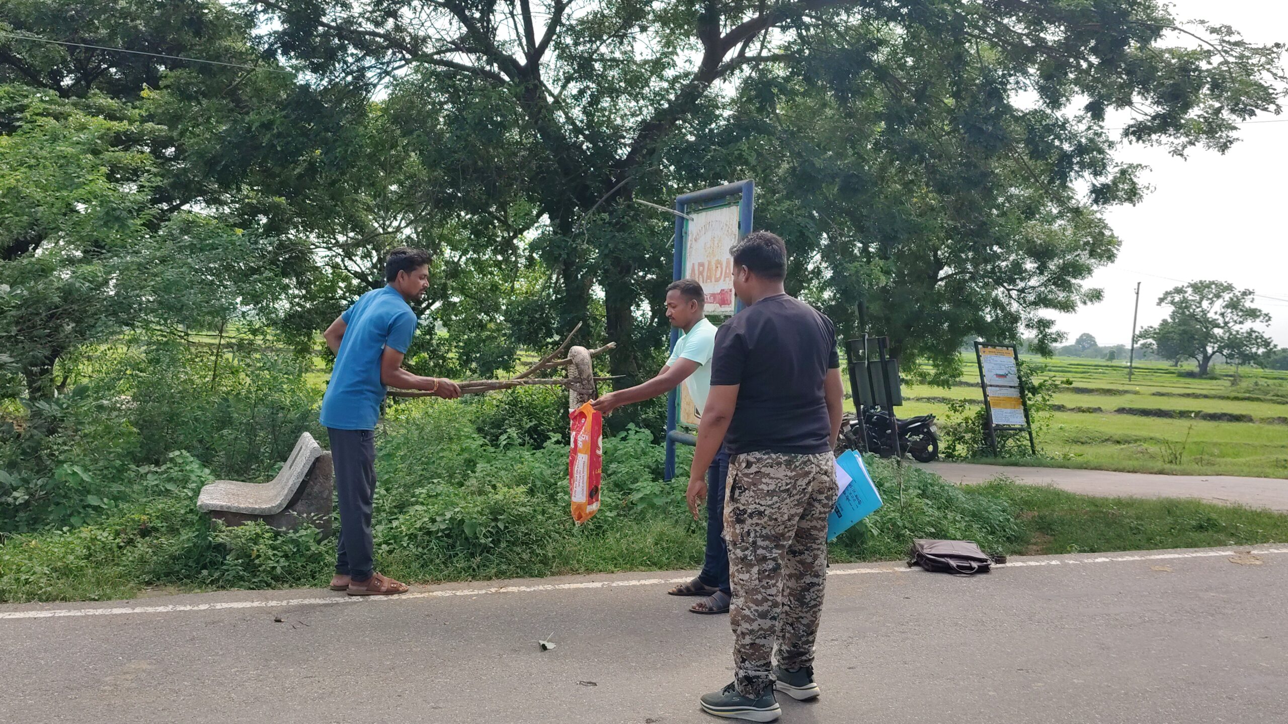 अज्ञात वाहनाच्या धडकेत अजगराचा मृत्यू; वन विभागाची घटनास्थळी धाव*